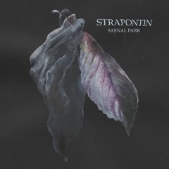 ABS004 Strapontin - Sasnal Park (EP - Previews)