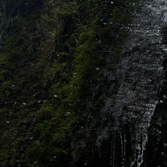 preview : erahcli - a muted note