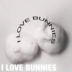 I LOVE BUNNIES