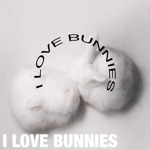 I LOVE BUNNIES
