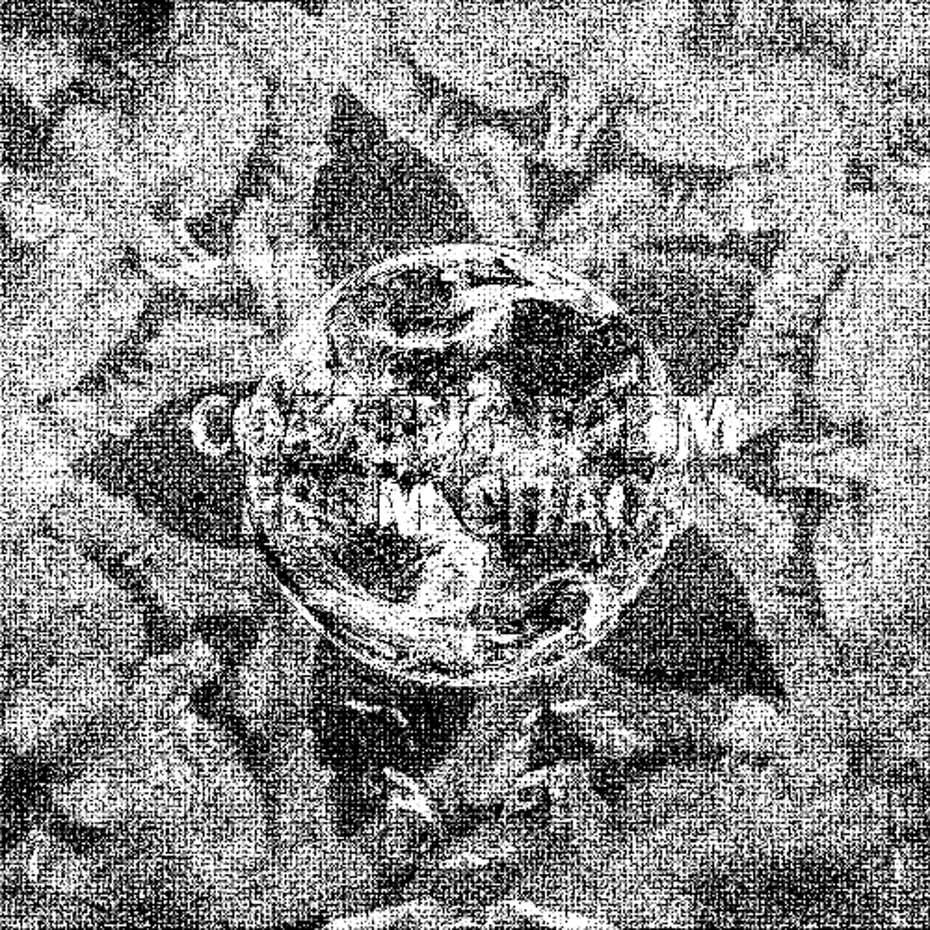 Coaxing Form From Chaos episode artwork