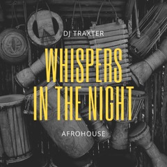 Whispers in the Night