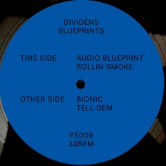 Dividens - Audio Blueprint