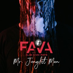 MC Fava & Alibi - Mr Junglist Man feat. MC Fats [V Recordings]