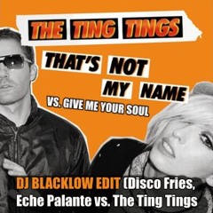 Give Me Your Name (DJ Blacklow Edit) - Disco Fries, Eche Palante vs. The Ting Tings