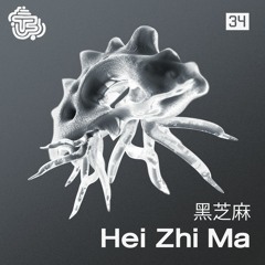 TMS - #34 - 黑芝麻 (Hei Zhi Ma)