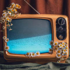 Justin Bieber - DAISIES (RYAN Remix)