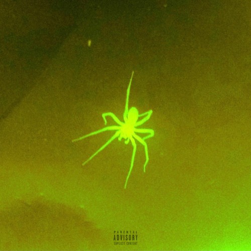 matt Lima - spyder (prod. luka)