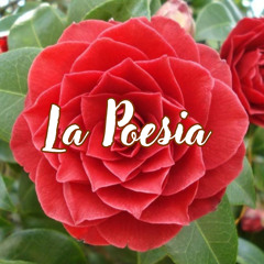 La Poesia