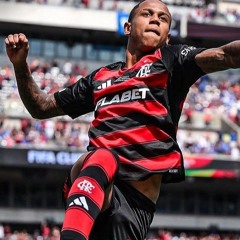 VIOLA FLUX - MCS GW E MAGRAO ( DJ LEAL ORIGINAL )