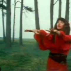 Kate Bush - Wurthering Heights (Slowed><Reverb)