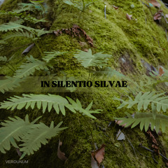 In Silentio Silvae - Verdunum