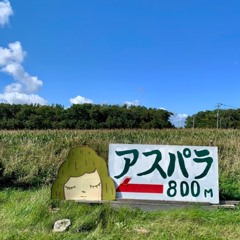 Branching Out- Afraid