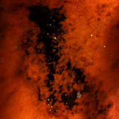 Elith - Crater