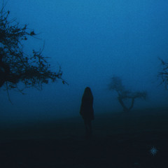 nocturnal whisper - empty my mind