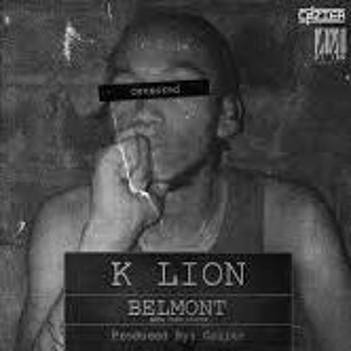 K Lion - Team