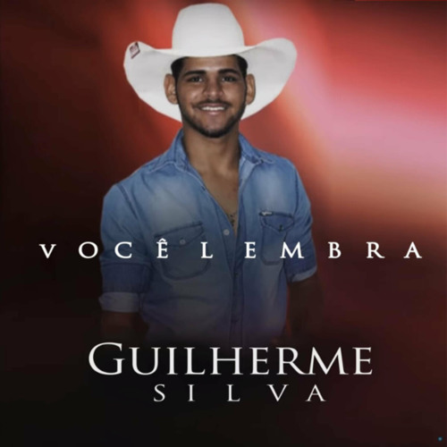 Um Gole de Cerveja