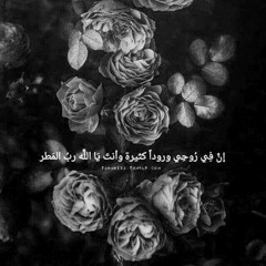 تلاوات قرآنية مميزة 8