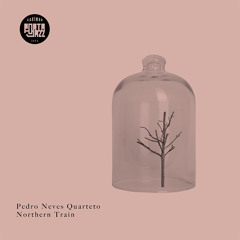 01 - Pedro Neves - Dreams and Plans.wav