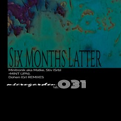 Minitronik aka Matke, Stiv (Srb)  Six Months Latter (MINT (JPN) Remix) out now!