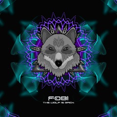 E.P. Fobi - The Wolf Is Back ( Green Wizards Records ) /  Preview Mix