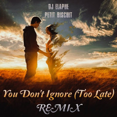 DJ Elaphe & Petit Biscuit - You Don't Ignore (Too Late) (REMIX)