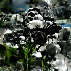 Bianco e nero (prod. x10derrick)