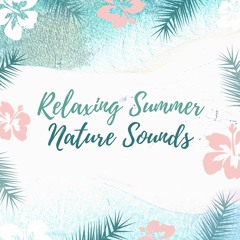 Relaxing Summer Nature Sounds
