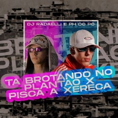 MTG - TA BROTANDO NO PLANTÃO x PISCA A XEREC* (DJ ANDRÉ RADAELLI & DJ PH DO PC)