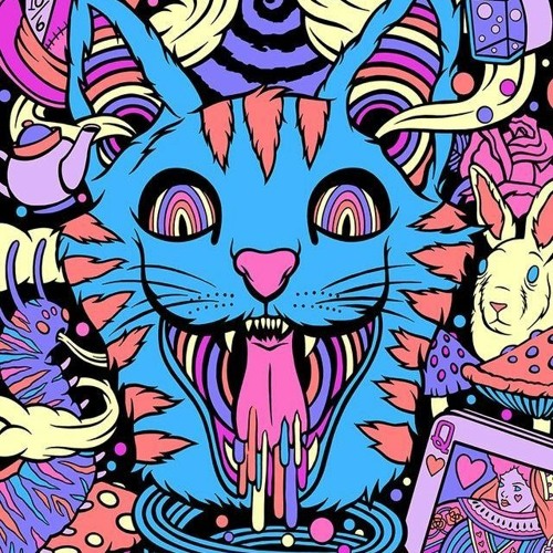 Cats The Flava