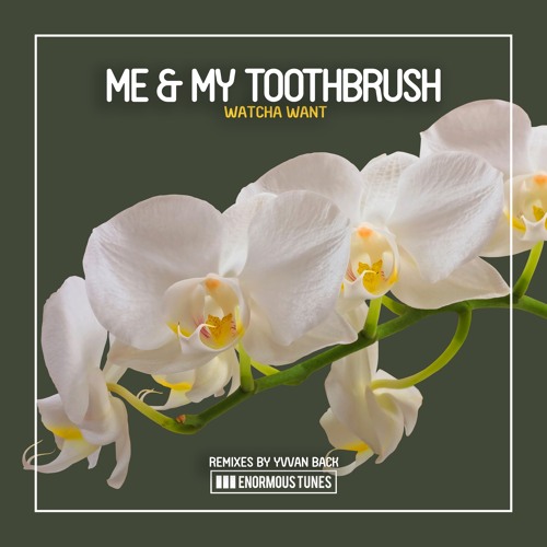 Me & My Toothbrush - Watcha Want (Yvvan Back Remix)