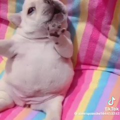 SHAVACOWEEN FEAT DJHOODRAPPER NATANEL.B JOHN AND DJHOODMOTHER (PROD DJHOODRAPPER DJHOODMOTHER AND ANARCHYTHUG123 LIL KYLE AND CRASHTAPES)