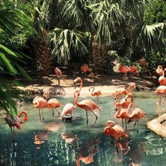 лето в тебя влюбилось