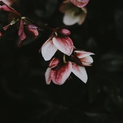 rain wash away (rmx Fliparoo)