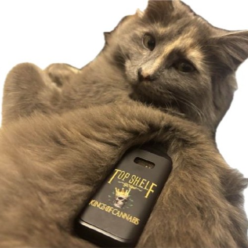 so what i cant think of a title go fuck yourself