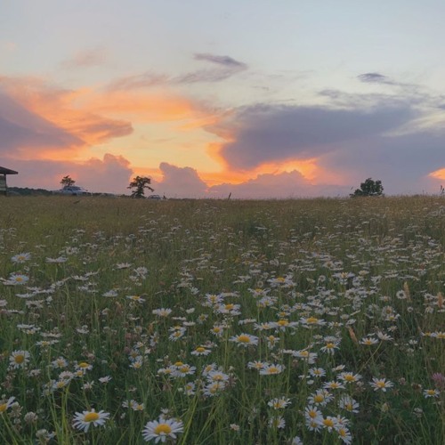 Come By Here- Humble, TX GM 2024 (Youth Choir)