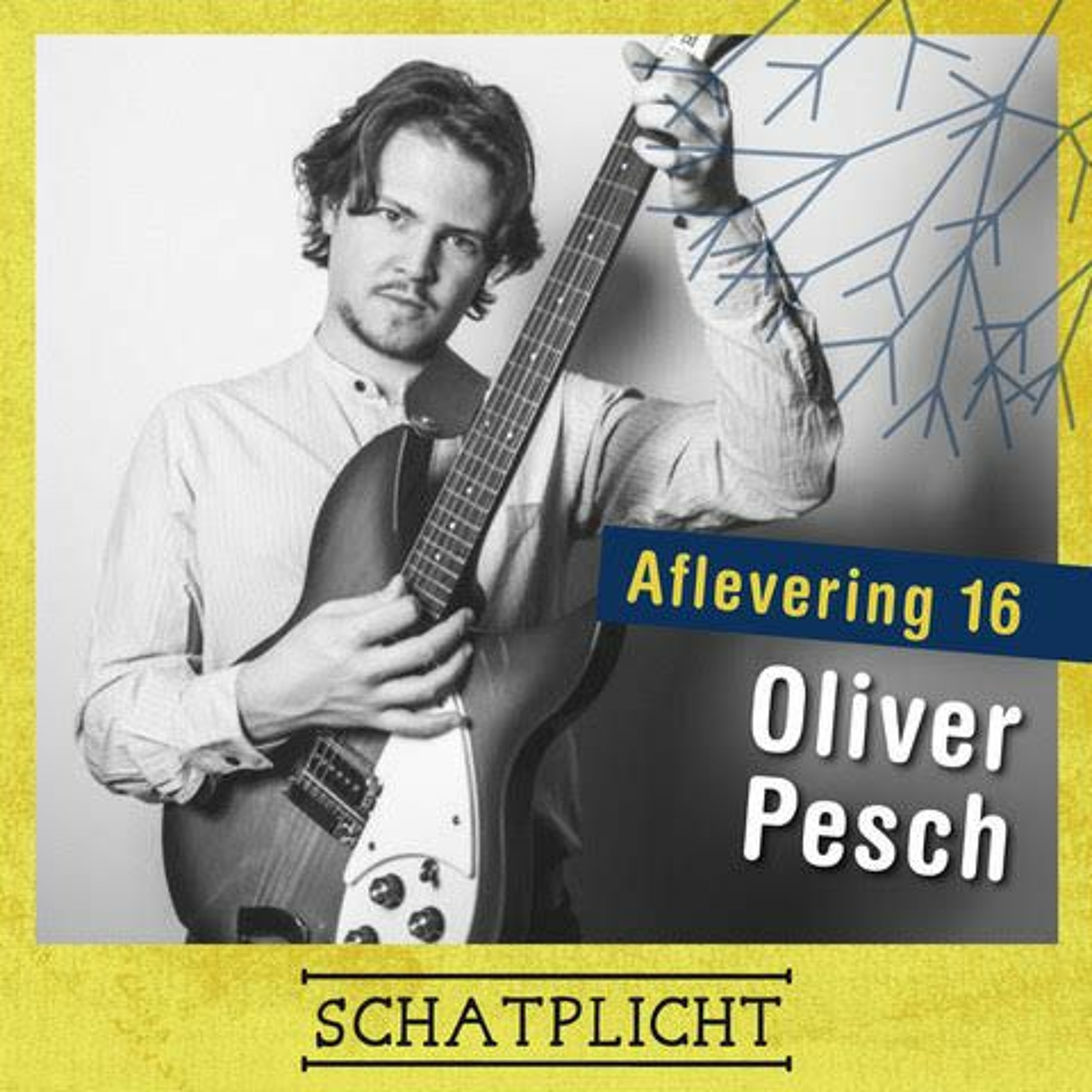 Schatplicht: De Podcast