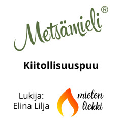 Metsämieli-harjoitus: Kiitollisuuspuu