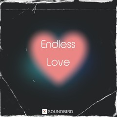 Endless Love (sampler)