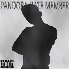 DJPAALASIDE - PANDORA GATE MEMBER (prod. Chrommyx)