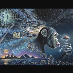 12 monkeys