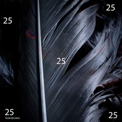 Through A Glass Darkly