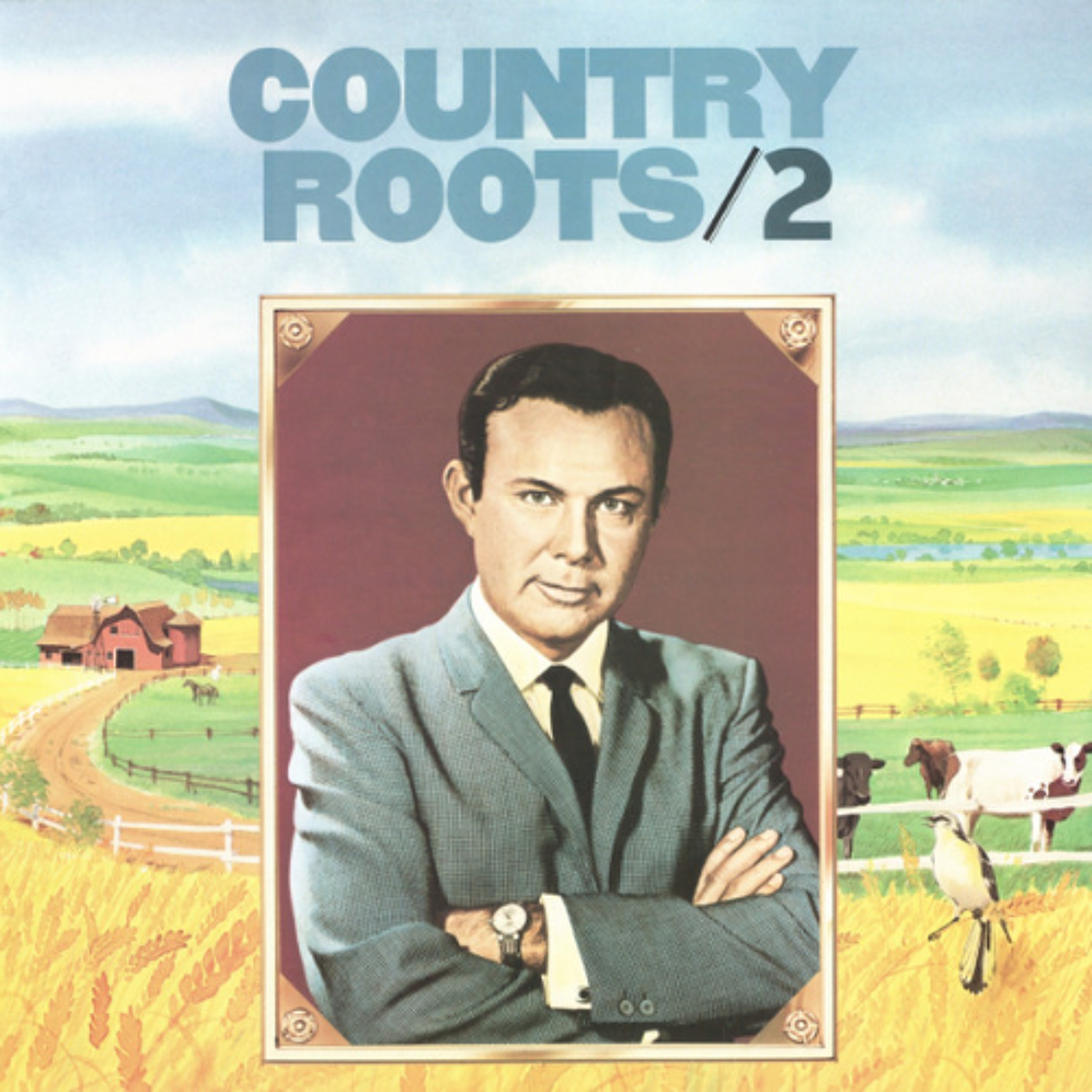 #549 The Immortal Jim Reeves 6 LP-box-set - Side C - Reader's Digest RDA 9582/2A - 1975 - England episode artwork