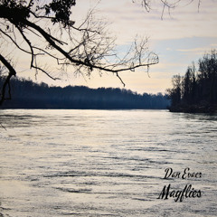 Mayflies