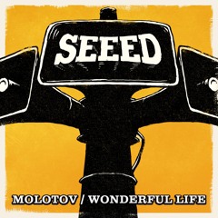 Wonderful Life