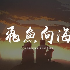 七音盒 - 飛魚向海「天空到大海得距離，就好像我們的關系」【動態歌詞/pīn yīn gē cí】