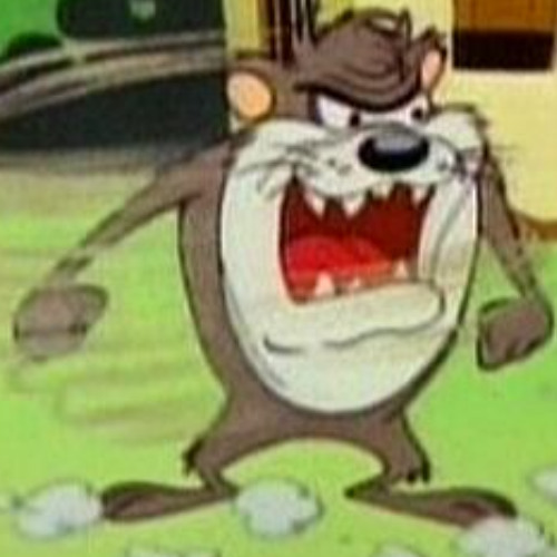 Taz. @perc