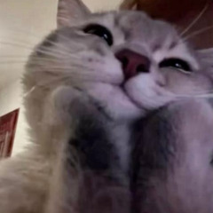 charli xcx - party 4 u (digicore flip by snuggles)