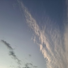 Myland Skies-Nicky J Cook