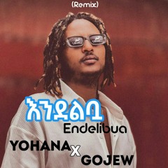 Endelibua (Gojew Remix)